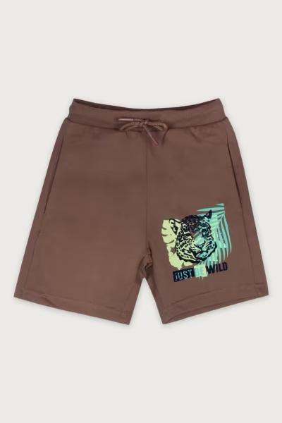 Brown Regular Fit Boys Shorts